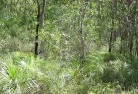 Olinda NSWorganic-gardening-5.jpg; ?>