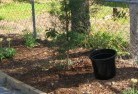 Olinda NSWorganic-gardening-6.jpg; ?>